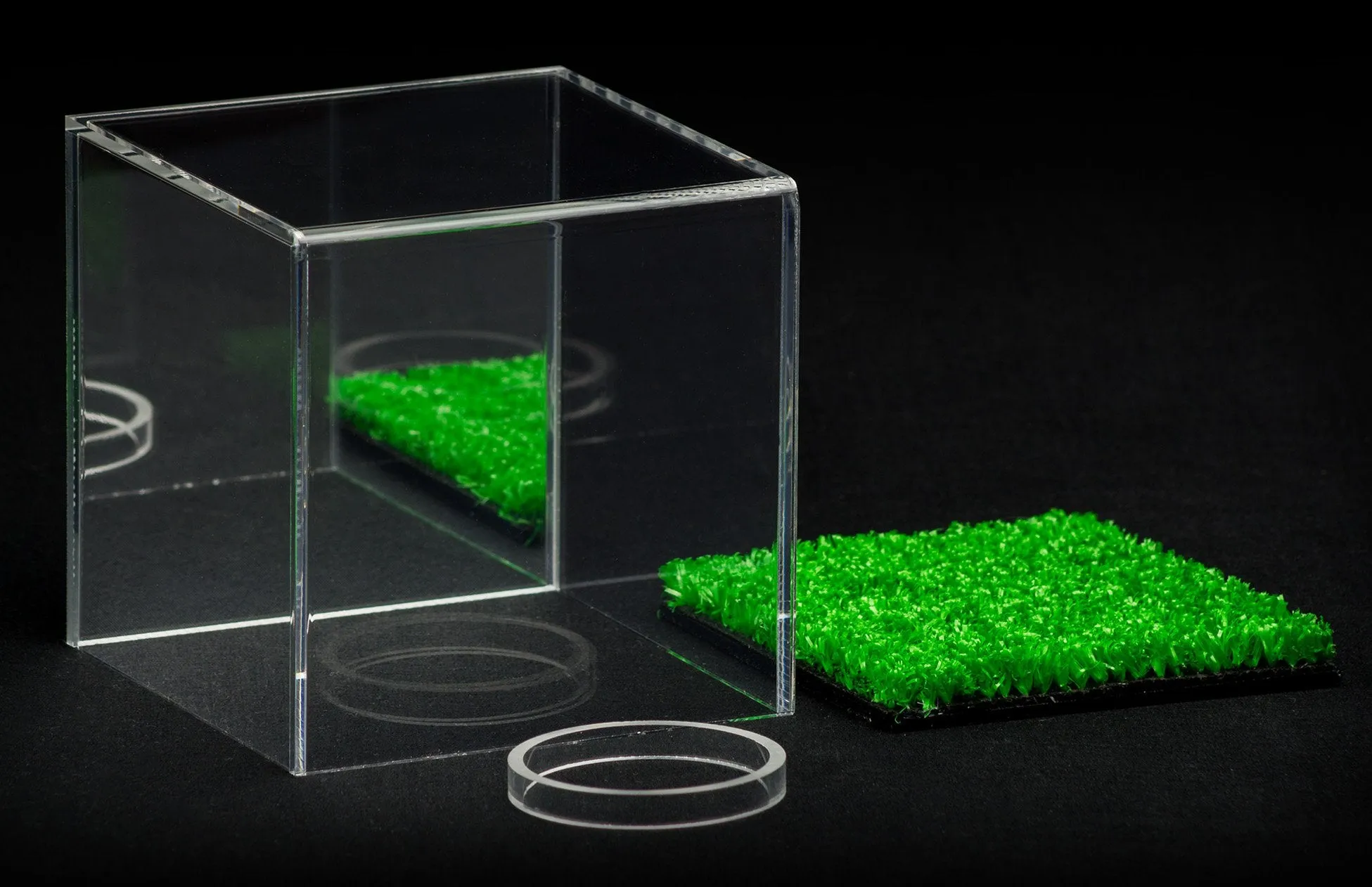 Acrylic Baseball, Lacrosse or Tennis Ball Display Case