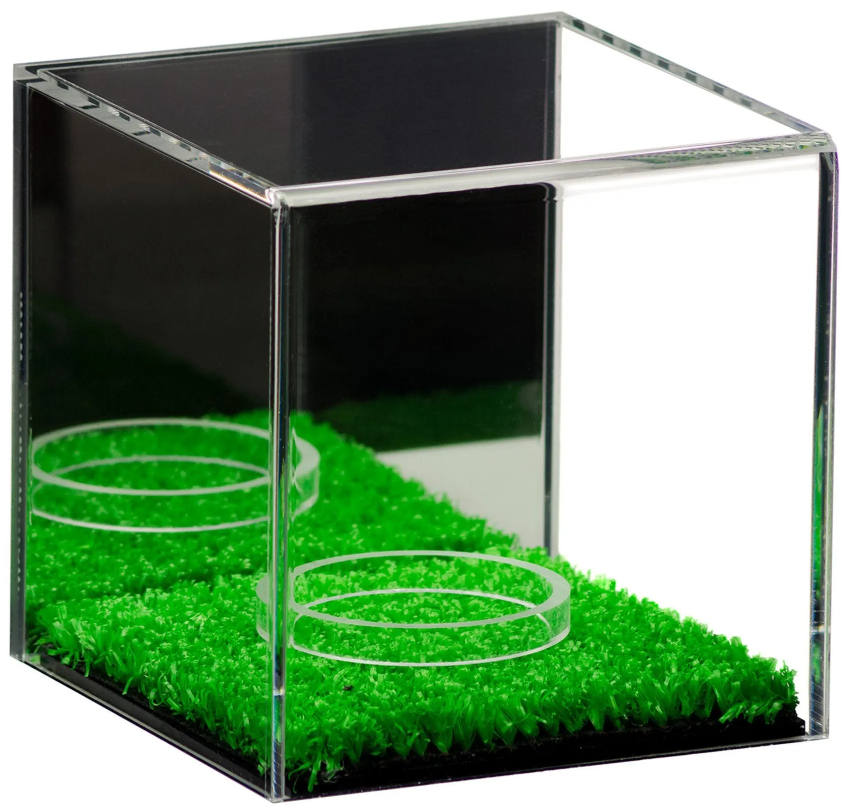 Acrylic Baseball, Lacrosse or Tennis Ball Display Case