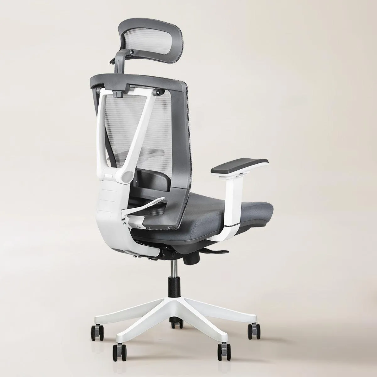 Aery Ergonomic Chair