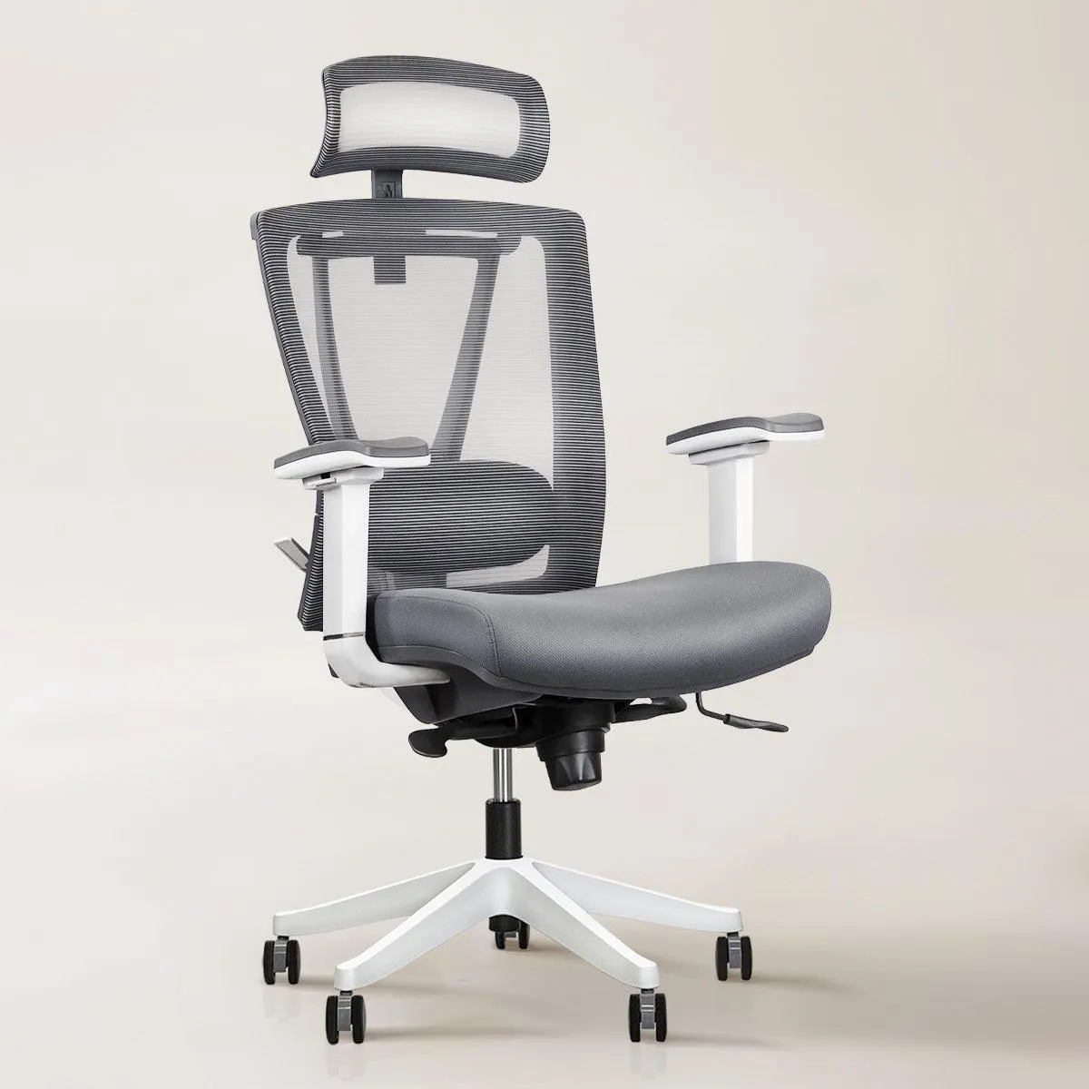 Aery Ergonomic Chair