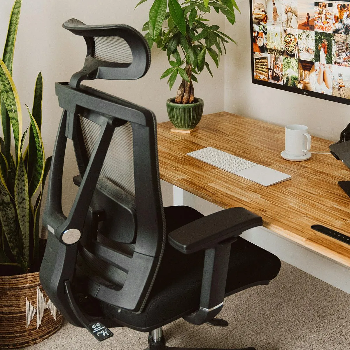 Aery Ergonomic Chair