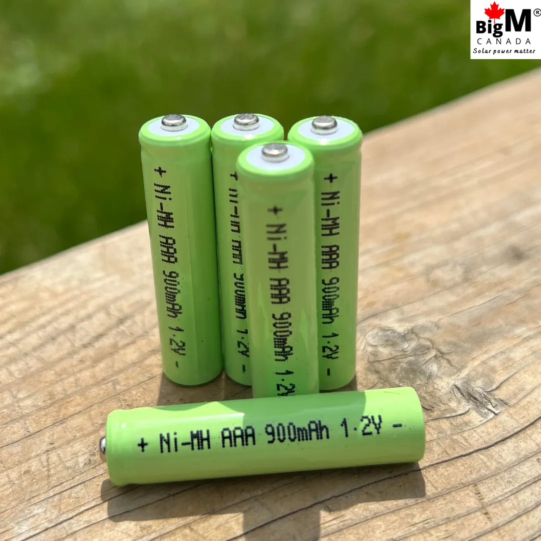 BigM High Capacity 1.2V Ni-MH 900mAH AAA Rechargeable Battery