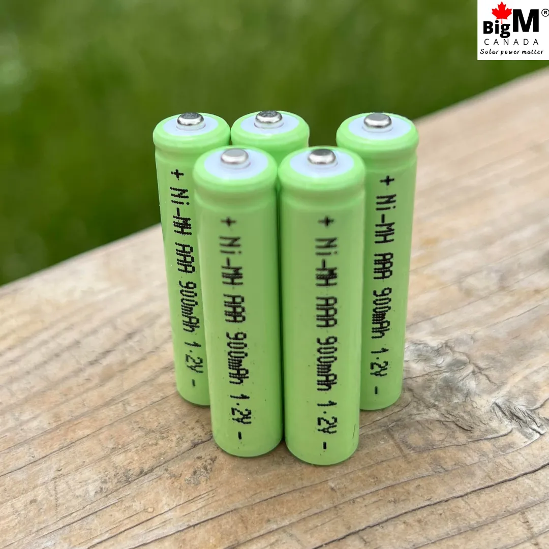 BigM High Capacity 1.2V Ni-MH 900mAH AAA Rechargeable Battery