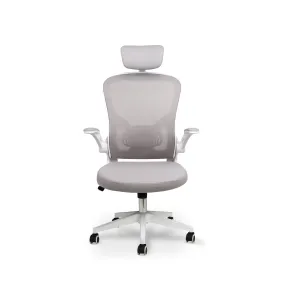 Ergonomic High Back Mesh Office Chair