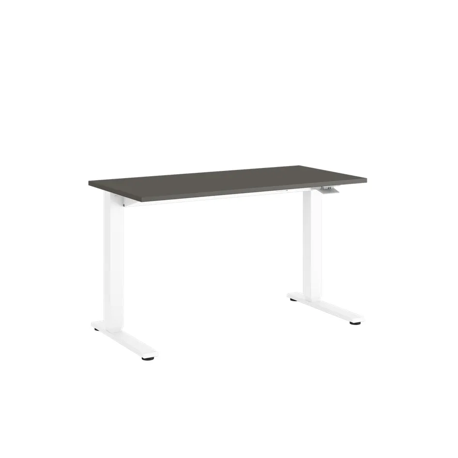 Float Sit Stand Desk