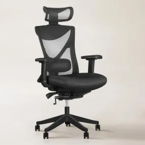 Kai Ergonomic Chair