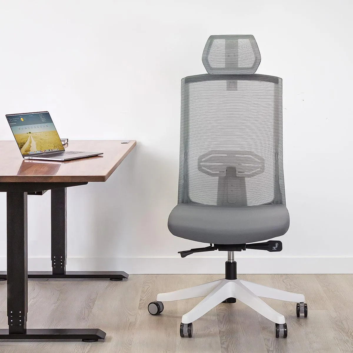 Karma Ergonomic Armless Chair