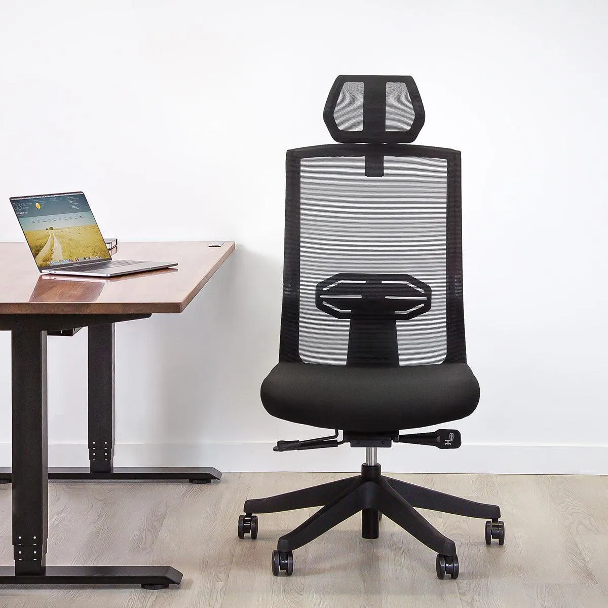 Karma Ergonomic Armless Chair