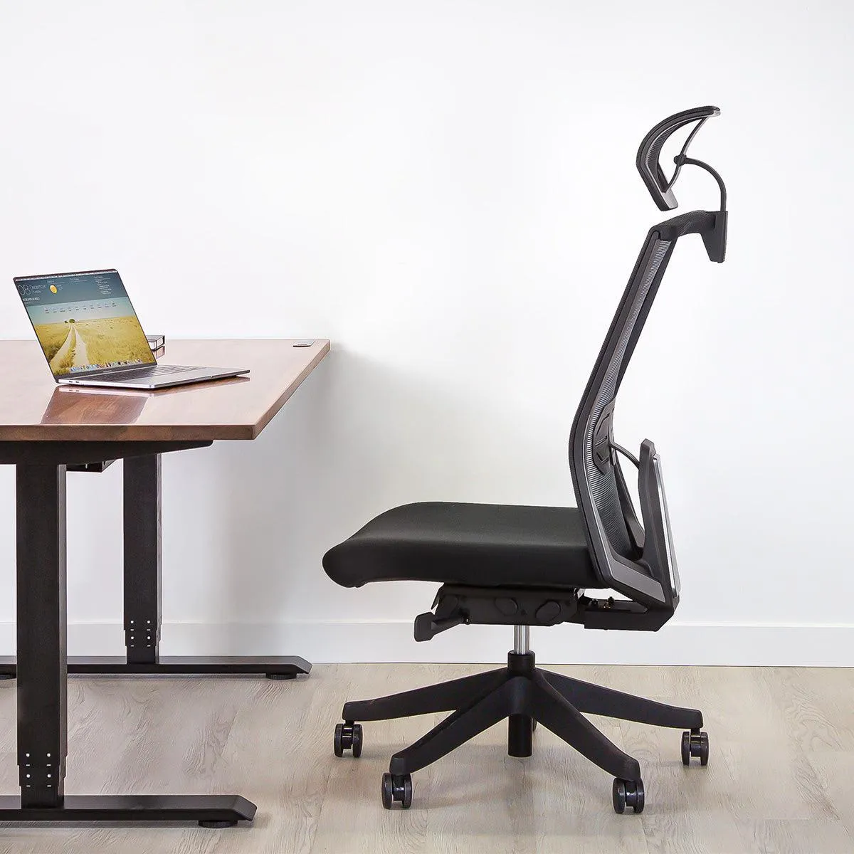 Karma Ergonomic Armless Chair