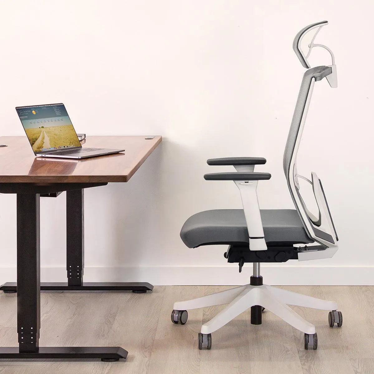 Karma Ergonomic Chair