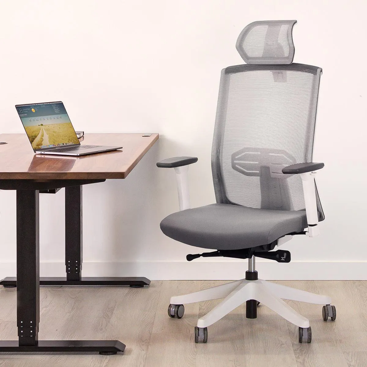 Karma Ergonomic Chair