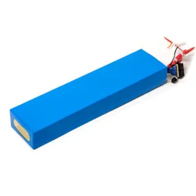 LiFePO4 Battery, 36V (M Series)