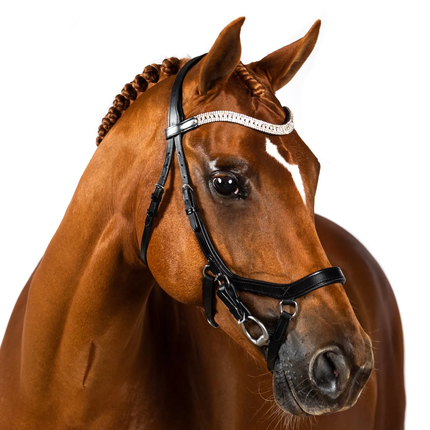 Mix & Match Custom Bridle - Black Ergonomic Bridle