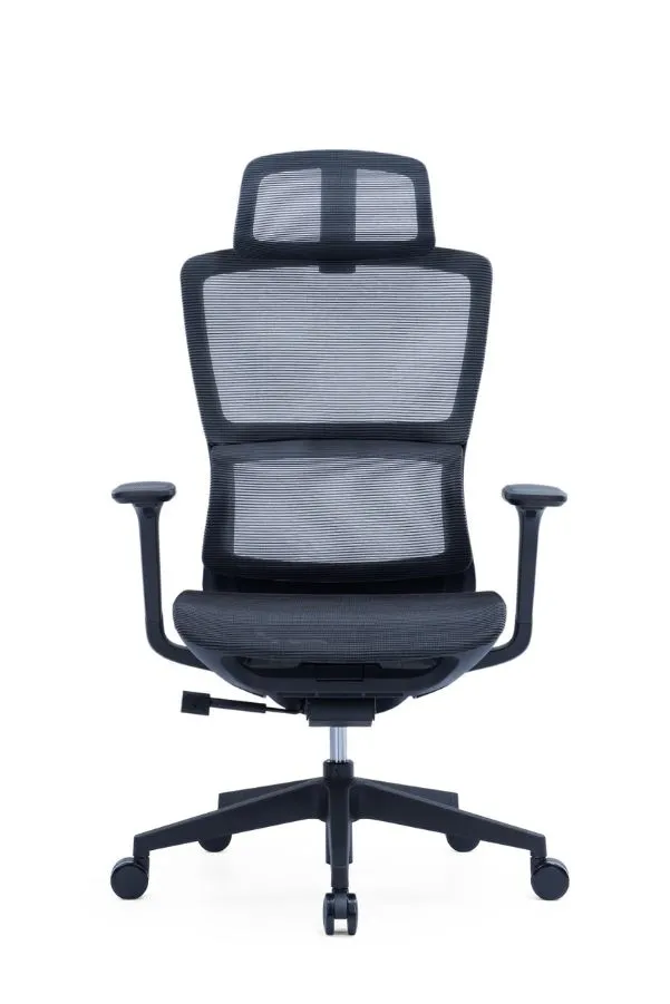 Modern Sleek Mesh Office Chair with 3D Armrests, Headrest and Four-Position Lock  for Home or Office