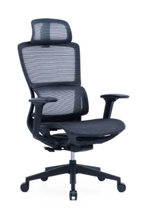 Modern Sleek Mesh Office Chair with 3D Armrests, Headrest and Four-Position Lock  for Home or Office