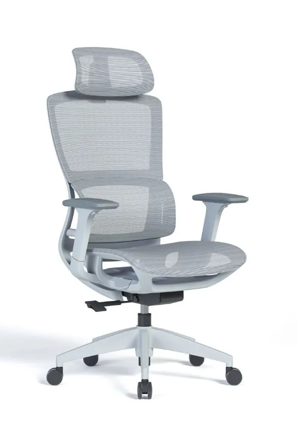 Modern Sleek Mesh Office Chair with 3D Armrests, Headrest and Four-Position Lock  for Home or Office