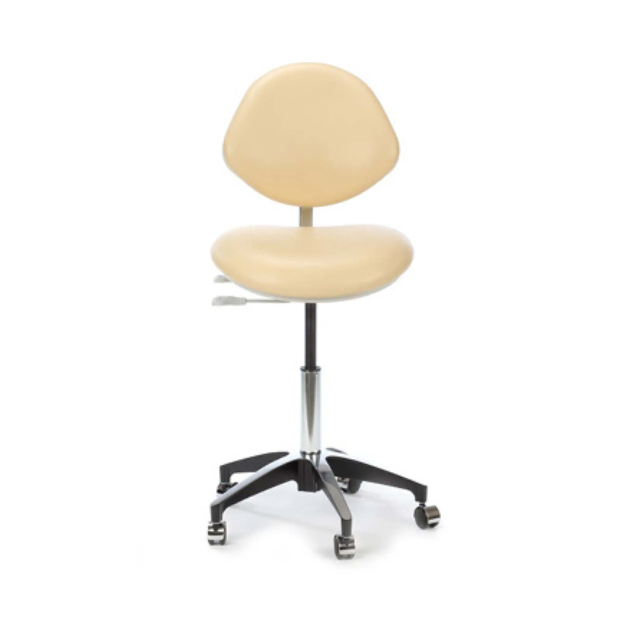 Plinth Premium Clinicians Chair