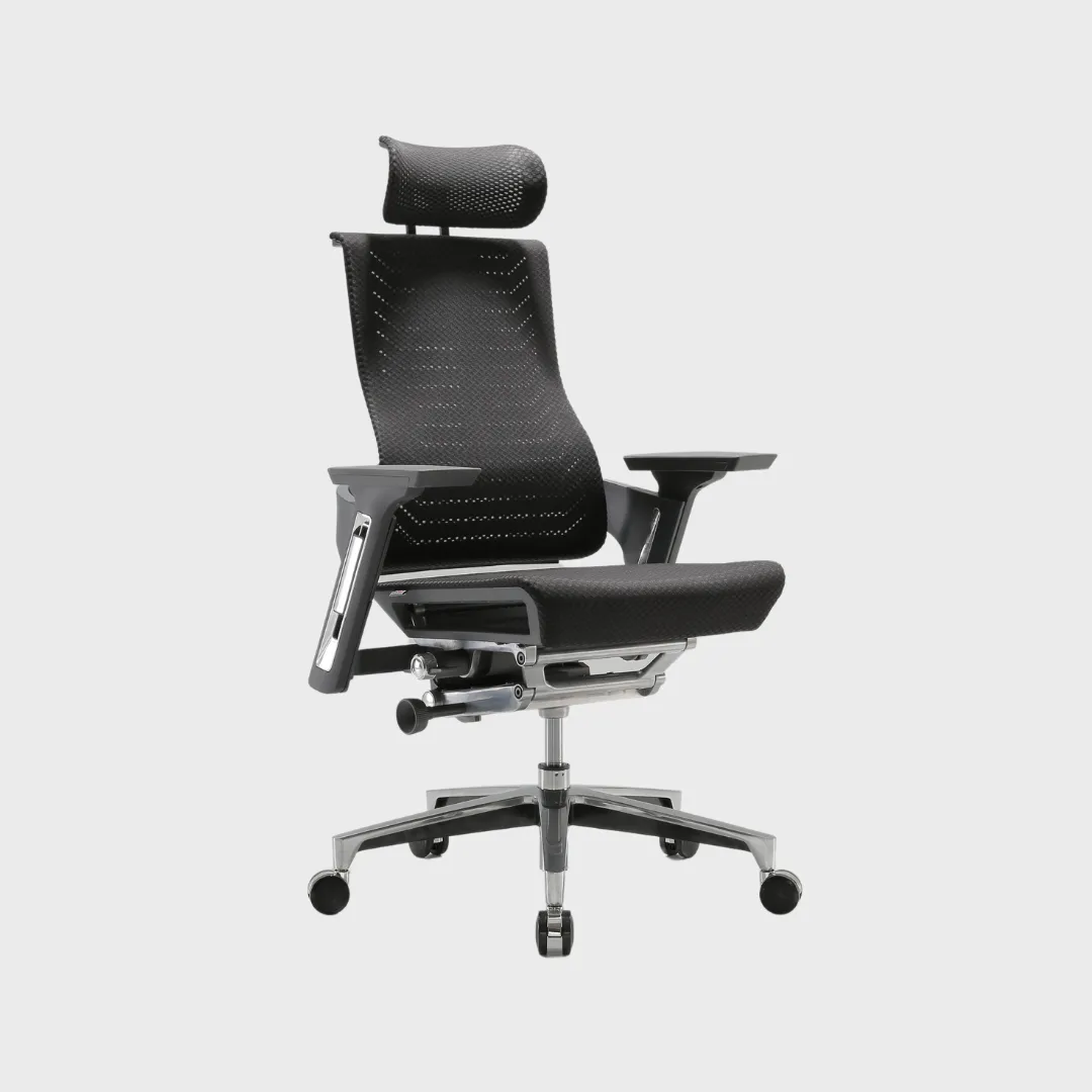 R1 Fully Adjustable Ergonomic Office Chair