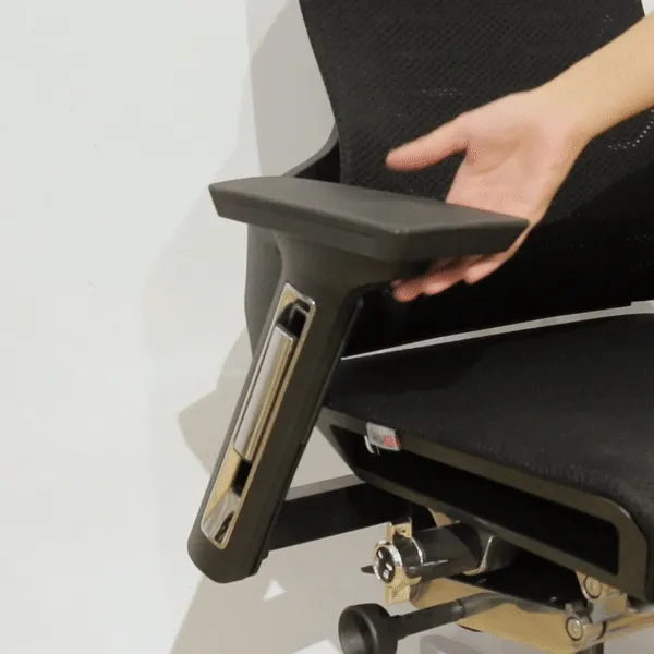 R1 Fully Adjustable Ergonomic Office Chair