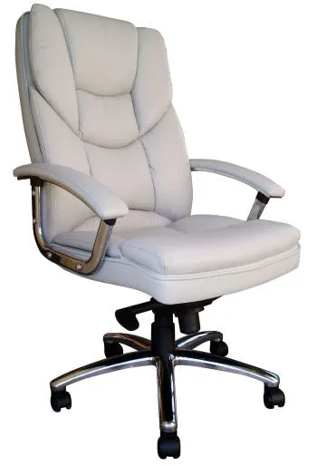 Skyline Ergonomic Leather Office Chair