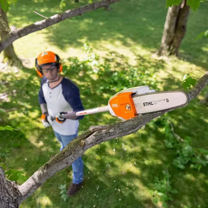 Stihl | HTA 66 Battery Pole Pruner | w/o battery & charger (LA03 011 6411 US)